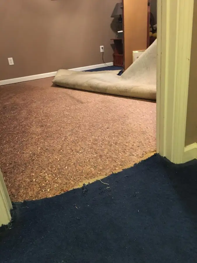 Carpet pad removal revealing water damage during Drying & Dehumidification in Gladstone
