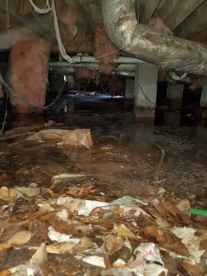 Crawl space flood assessment for Leak Detection & Repair in Gladstone