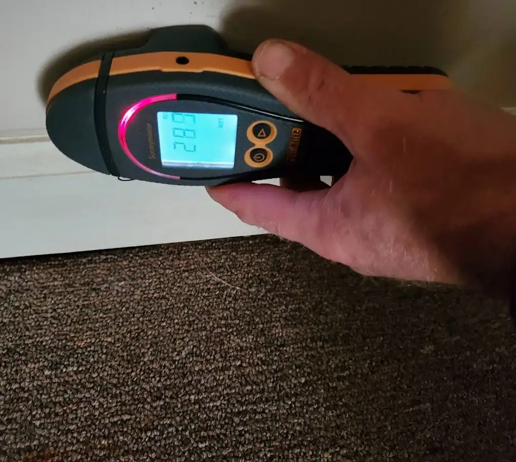 Moisture detection at baseboard during Sewage Cleanup & Sanitation in Gladstone